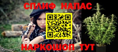 крисы Будённовск