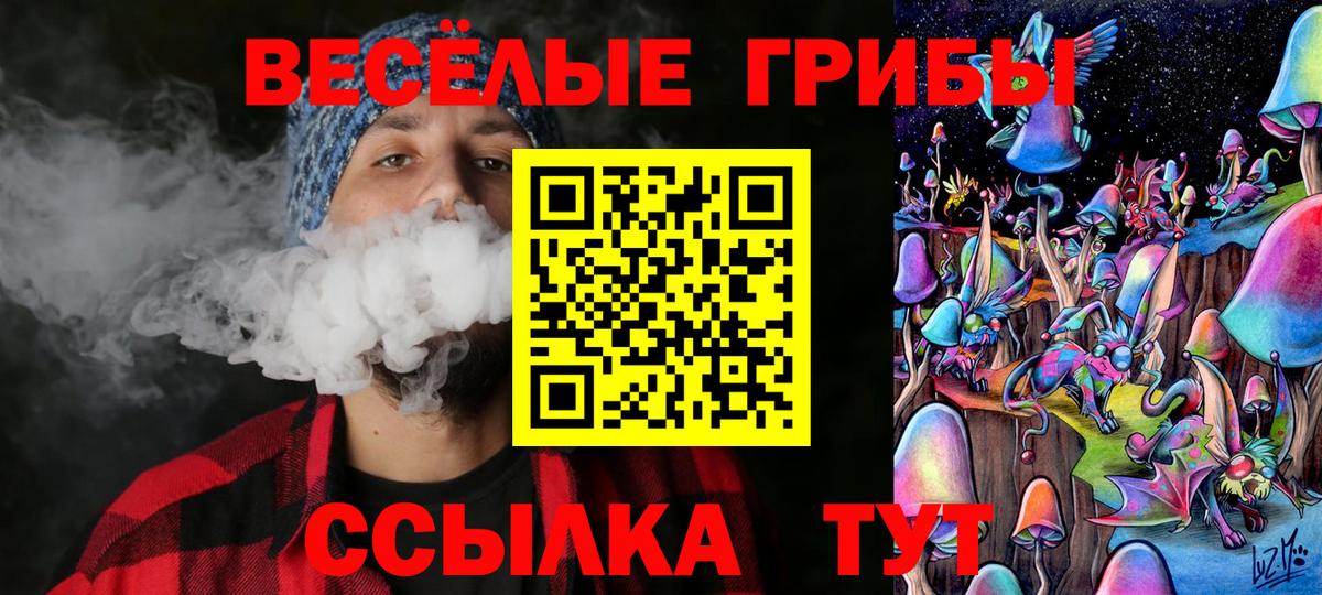 Галлюциногенные грибы Psilocybe  Вход с VPN  Псилоцибиновые грибы мухоморы  Ухта 